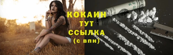 ГАЛЛЮЦИНОГЕННЫЕ ГРИБЫ Иннополис