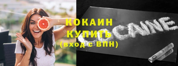 mdpv Инсар