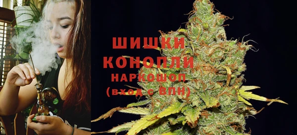 ГАЛЛЮЦИНОГЕННЫЕ ГРИБЫ Иннополис