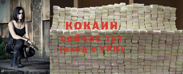 ГАЛЛЮЦИНОГЕННЫЕ ГРИБЫ Иннополис