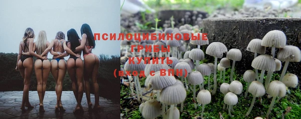 ГАЛЛЮЦИНОГЕННЫЕ ГРИБЫ Иннополис