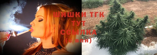 mdpv Инсар