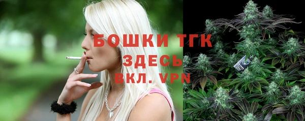 mdpv Инсар