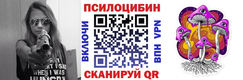 Купить  Балашов  Псилоцибиновые грибы GOLDEN TEACHER 